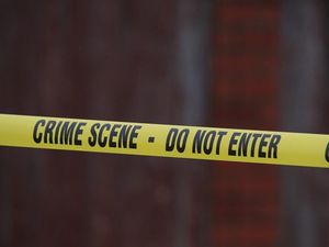 Supporting image for story