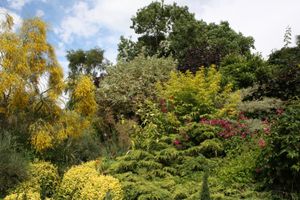 The Secret Garden, Little Haywood, will be displayed this weekend