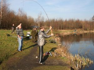 Supporting image for story: Campaigners call for Shrewsbury fields to be fenced off to protect wildlife