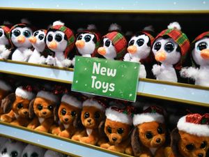 Supporting image for story: PM urged to put toys on essential retail list before Christmas
