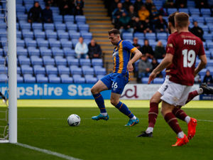 Supporting image for story: Dave Edwards: 	Shrewsbury win can put Town up with big boys 