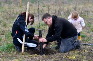 Apple tree planting at Roots Allotments, Stourbridge.