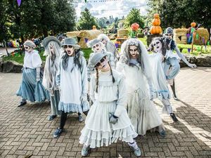 Supporting image for story: Surviving Alton Towers' Scarefest - review