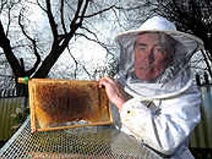 Supporting image for story: Graham enjoys buzz of working the land