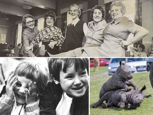 Supporting image for story: Beat the Blue Monday blues: Brighten your day with 19 heartwarming photos from the archives