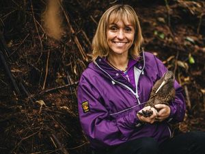 Supporting image for story