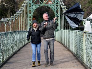 Supporting image for story: Winds of up to 40mph expected as Shropshire narrowly avoids Met Office weather warnings for Storm Benjamin