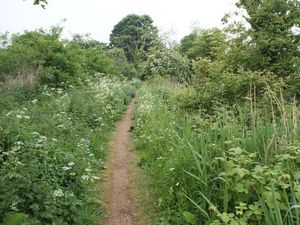 Supporting image for story: Be glad for what you’ve got!
