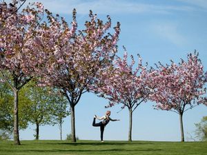 Supporting image for story