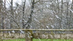 Snow in Rushbury on Thursday. Photo: Peter Steggles