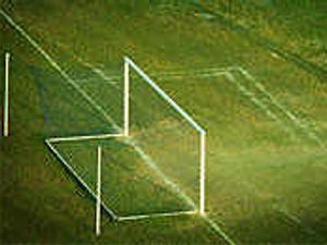 Supporting image for story: Drayton's grounds for hope