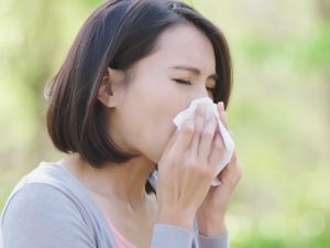 Supporting image for story: How drivers with hayfever can stay safe behind the wheel