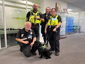 Supporting image for story: Illegal cigarettes, vapes and tobacco worth over £46,000 seized from three Sandwell businesses