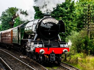 Supporting image for story: Severn Valley Railway named 'Leading Railway Enthusiast Site' in awards