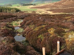 Supporting image for story: Small dams could keep distilleries producing whisky through dry spells