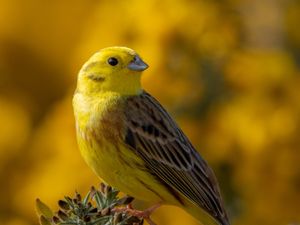 South Downs National Park’s annual photo competition