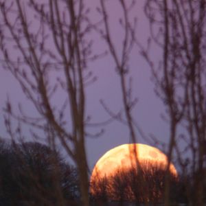 Gemma Cross took this in Haden Hill, Cradley Heath