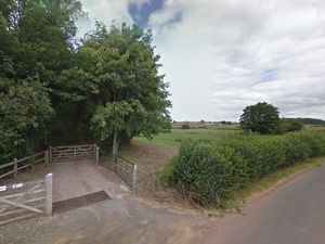 Supporting image for story: Newport dog park owners and 'huge animal lovers' to build pet crematorium and chapel of rest