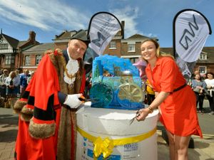 Supporting image for story: Bridgnorth's Catch Me Who Can art trail launches