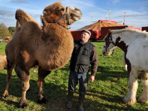 Supporting image for story: Arguments go on as circus animals arrive in Telford