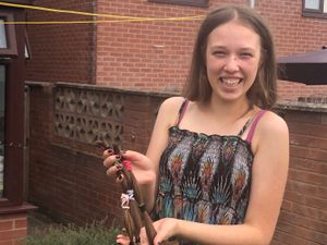 Supporting image for story: Shropshire schoolgirl chops locks for young people with hair loss