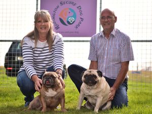 Supporting image for story: From grapes to Great Danes - Telford couple swap vineyard for new dog park business