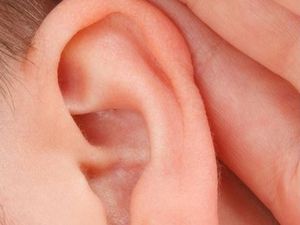 Supporting image for story: Rhodes on feeling Christmassy, vacuuming ears and job satisfaction at the surgery