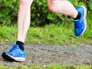 Supporting image for story: 'I ran for my life': Runner attacked by black snake near canal