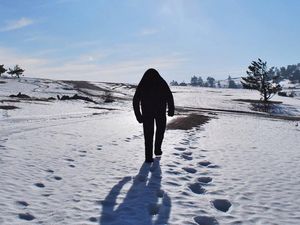 Supporting image for story