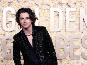 Supporting image for story: Timothee Chalamet and Kylie Jenner make first official appearance at Globes