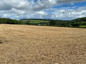 Supporting image for story: More than 80 acres put up for sale in Shropshire following farming retirement