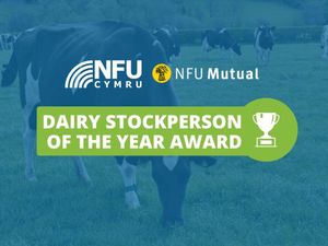 Supporting image for story: The search has begun for the 12th winner of the NFU Cymru / NFU Mutual Dairy Stockperson of the Year
