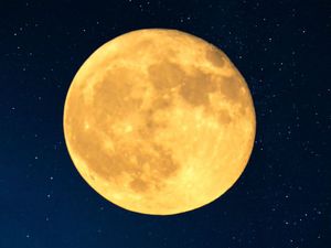 Supporting image for story: First supermoon of 2025 to occur this week - what Harvest Moon will look like and date and time it will rise