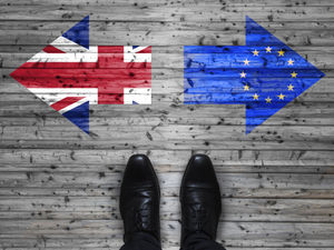 Supporting image for story: 'Brexit must never mean cutting ties with Europe'