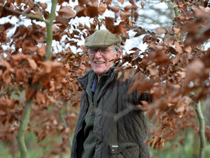 Supporting image for story: Codsall Wood organic trees business is growing