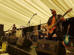 Supporting image for story: Wolvesfest to return for 2018