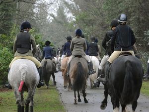 Supporting image for story: Group urges Trust to ban Long Mynd hunts