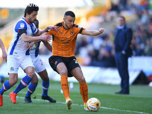 Supporting image for story: Wolves 0 Blackburn Rovers 0 - Report and pictures