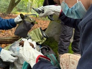Supporting image for story: How ‘Bat Lady’ is helping the protected species thrive at Severn Trent reservoir sites