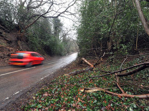 Supporting image for story: Campaigners: Tackle Halesowen 'rat run' speeding or people could die