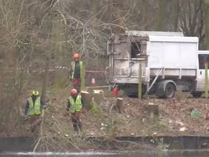 Supporting image for story: Sandwell Council's work to remove trees at pool receives criticism from conservation group