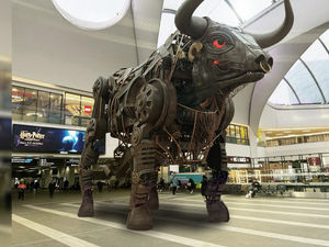 Supporting image for story: Raging Bull: Commonwealth Games star set to find final home at New Street Station