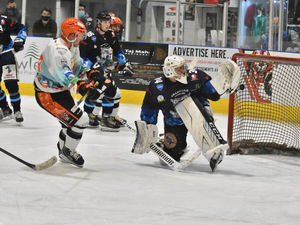 Supporting image for story: Telford Tigers roar back to net top spot