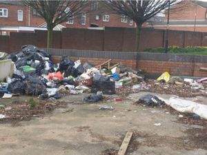Supporting image for story: Homes plan for 'eyesore' fly-tipped Walsall land left disused for years
