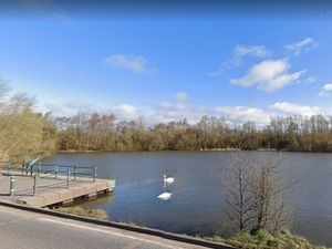 Supporting image for story: Bird flu warning issued after cases found in swans at Walsall beauty spot