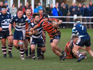 Supporting image for story: Bad luck dogs DK in first defeat to Lions