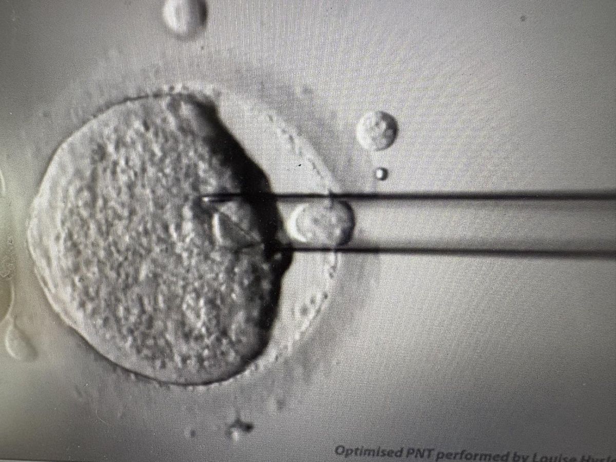 Eight babies born from pioneering IVF technique to prevent devastating disease