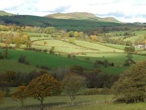 Supporting image for story: Call to scrap wind farm plans as inquiry to begin