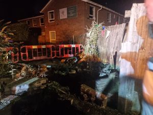 The car ploughed through the fence of thr nursery