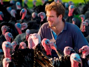 Supporting image for story: Farms continue to face shortage of seasonal labour